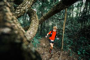 BIB: 
                            <button type="button" onclick="openModal(25394393)" class="btn btn-primary btn-sm float-right btn-popup" data-toggle="modal" data-target=".modal-high-quality">
                        <i class="fas fa-shopping-cart"></i> Add to Cart
                    </button>
                                            <button type="button" onclick="isThisMe(25394393, true)" class="btn btn-success btn-sm float-right btn-popup btn-isme hidden" data-toggle="tooltip" data-placement="bottom" title="นี่คือรูปของคุณใช่ไหม คลิกที่นี่เพื่อเอาเข้าอัลบั้ม">
                        <i class="fas fa-plus"></i> Add to album
                    </button>
                    <button type="button" onclick="isThisMe(25394393, false)" class="btn btn-warning btn-sm float-right btn-popup btn-isnotme hidden">
                        <i class="fas fa-ban"></i> Remove from album
                    </button>